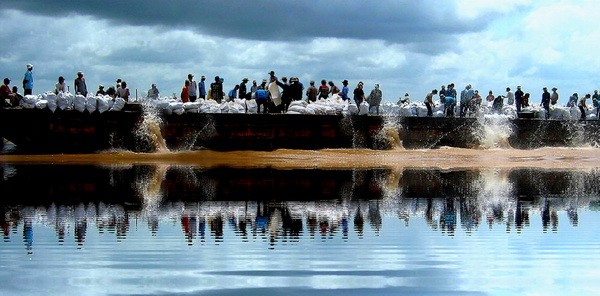 Tour of Mekong River Delta in flood season - ảnh 4